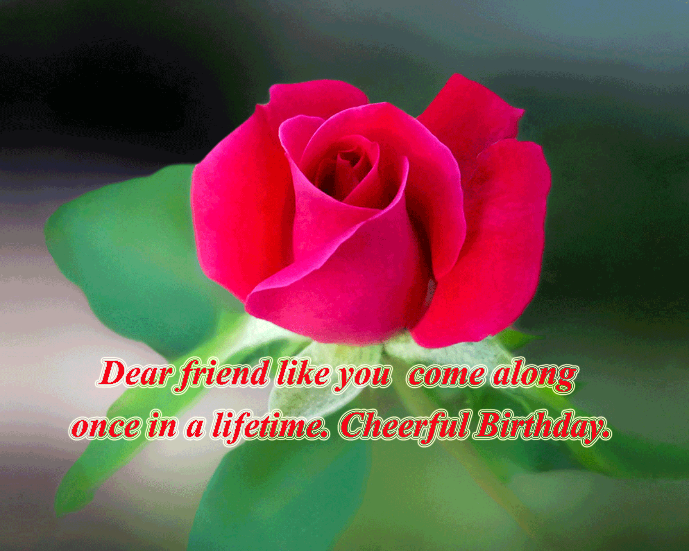 happy birthday wishes to a special female friend