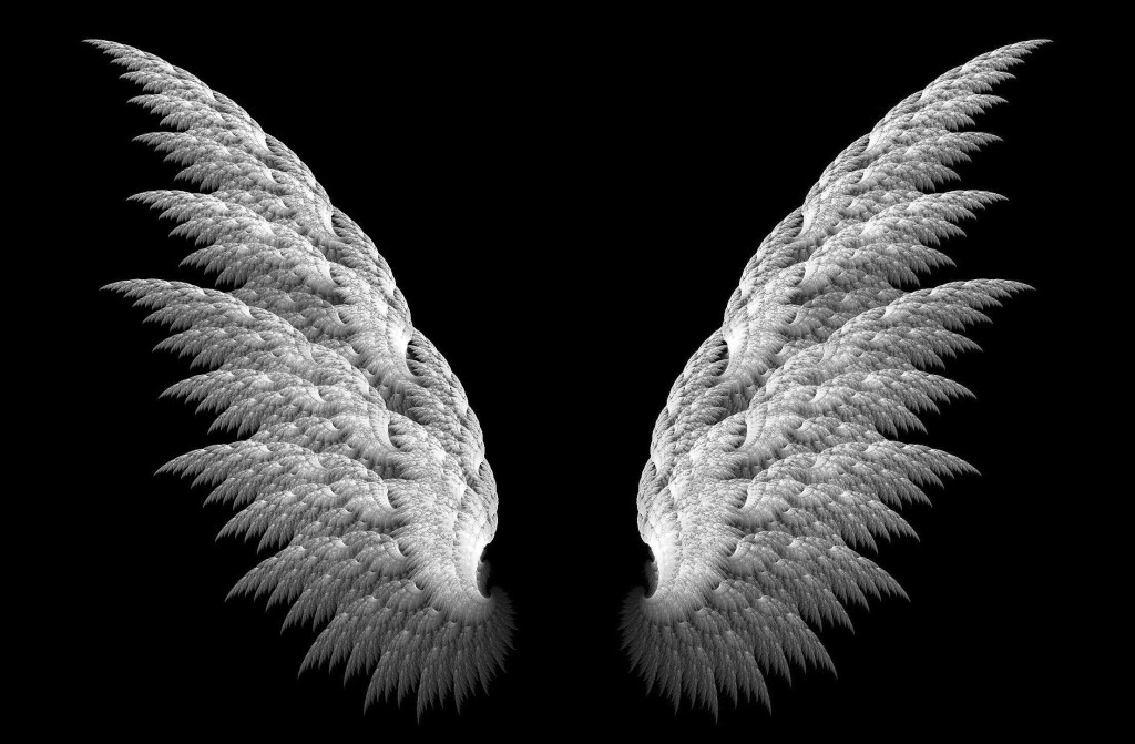 Angel Feather Black free download