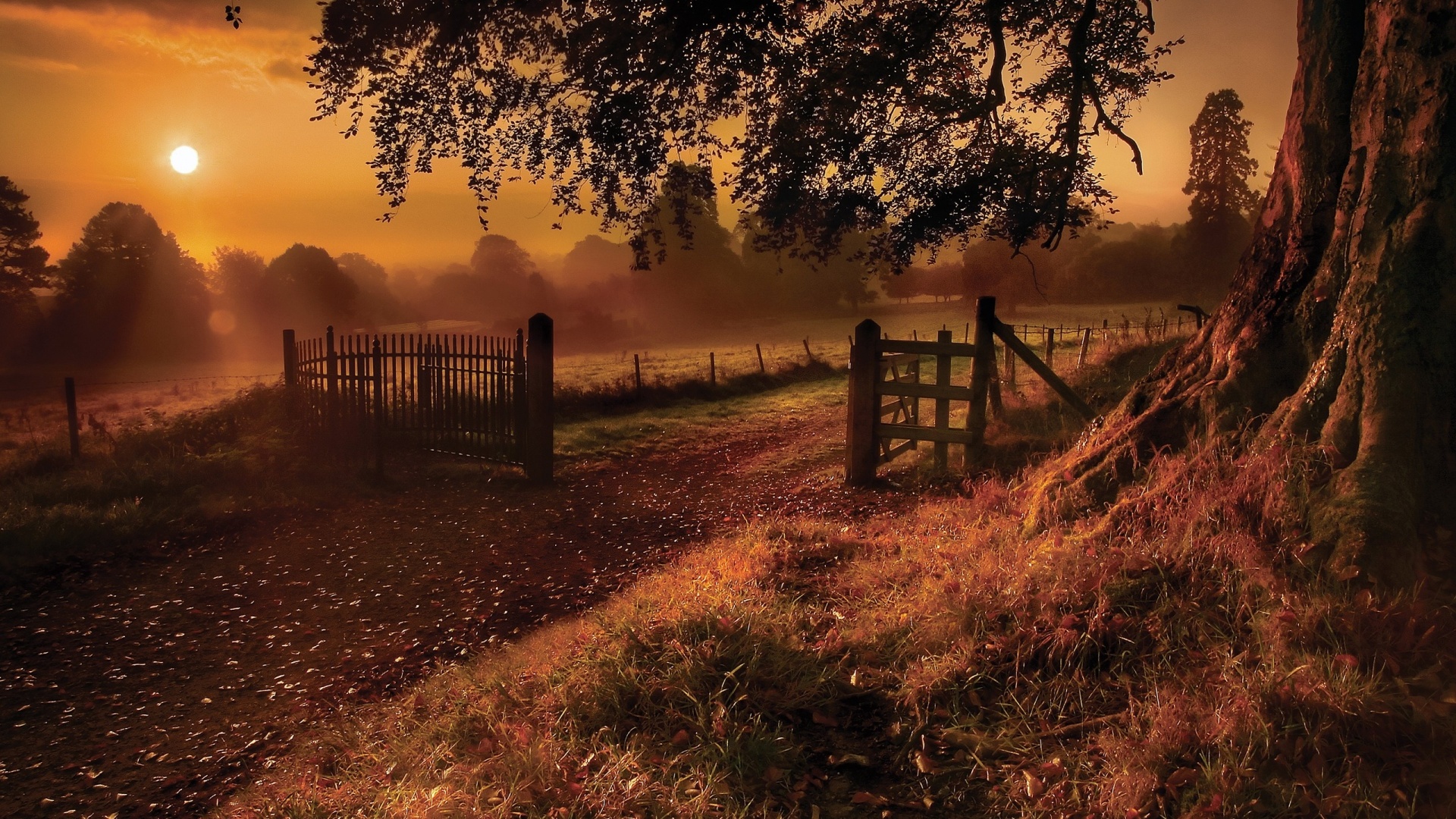 Autumn Landscape Image Download