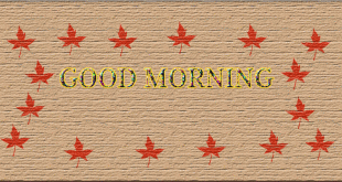 New best good morning images best wallpapers 2019 free download