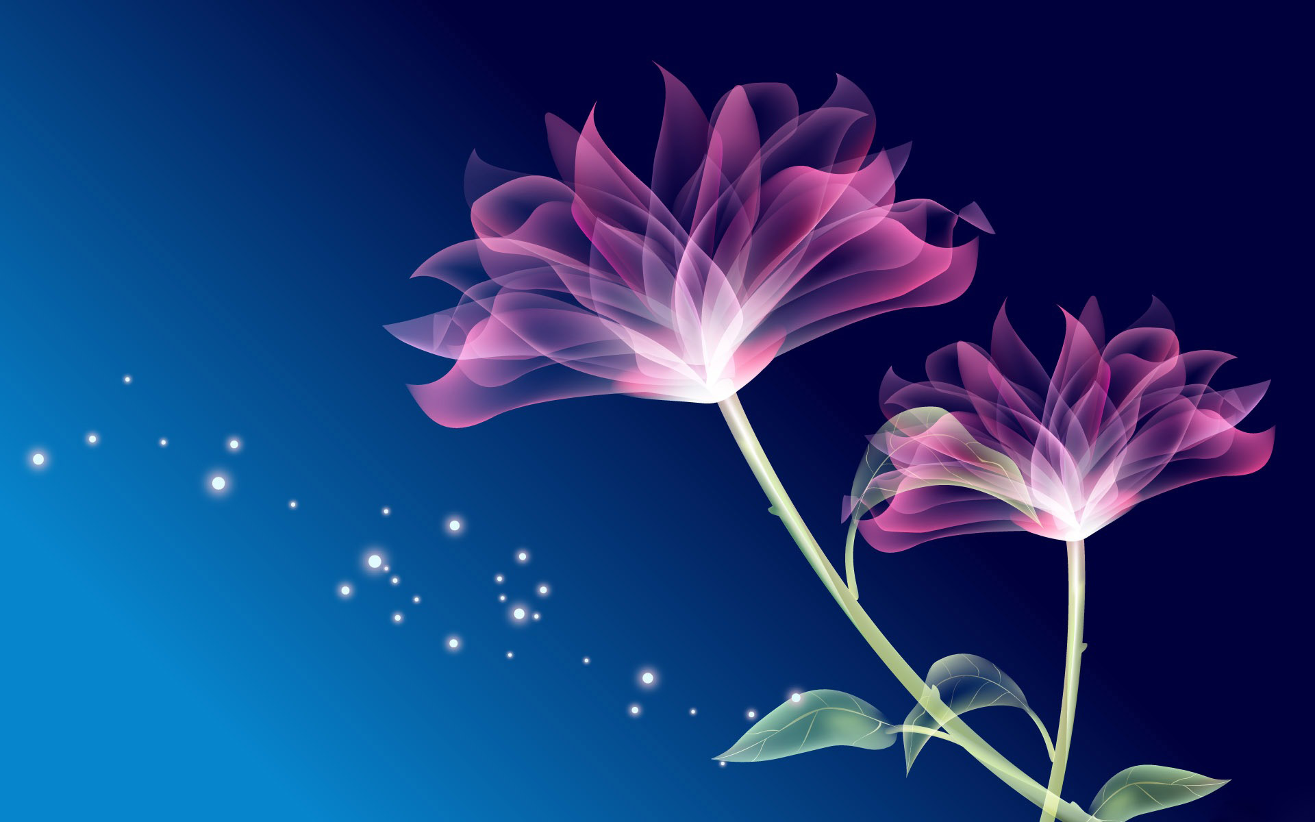 Beautiful flower images latest wallpapers free download
