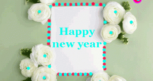 Happy new year animated gifs wallpapers for every one