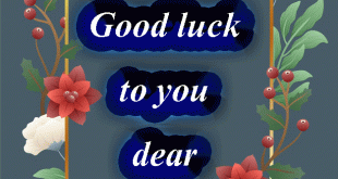 Good Luck To You New Gifs Images for friends