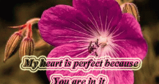 I Love You Quotes For Husband new image