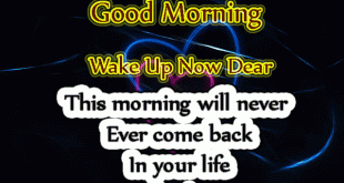 New good morning quotes